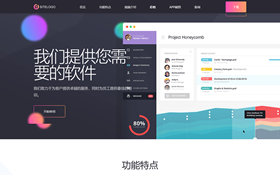 響應(yīng)式軟件定制開(kāi)發(fā)公司網(wǎng)站模板